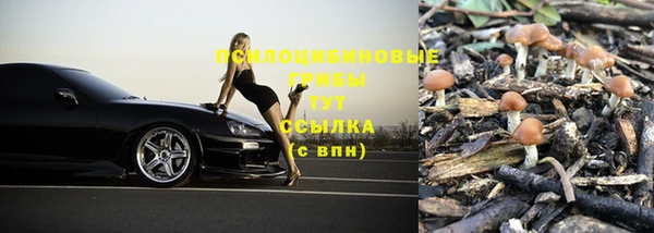 дживик Алексеевка