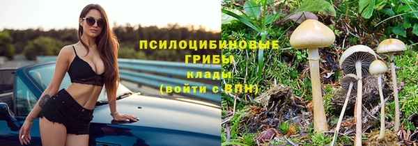 крисы Алексин