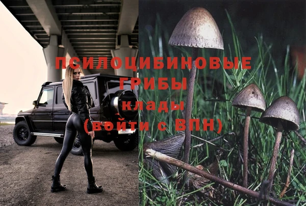 тгк Няндома